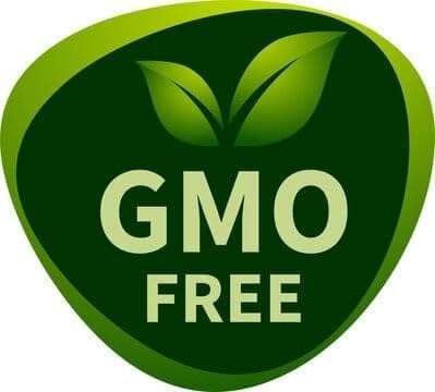 Elite-C – 1000mg of Pure, Non-Acidic Vitamin C – Buffered, High-Absorption, USA-Sourced & Made – Grape Seed, Rosehip, Rutin, Acerola – Clean, Non-GMO, Bioavailable Immune Support, 120 Capsules