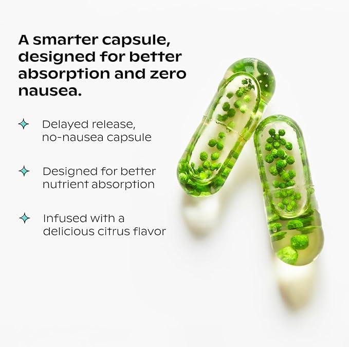 wholier Plant Based Multivitamin Vegan Omega-3 DHA EPA, Vitamin D, B12, Zinc, Vitamin K2, Iron, Iodine, Selenium. 60 Count (30-Day Supply) Glass Bottle