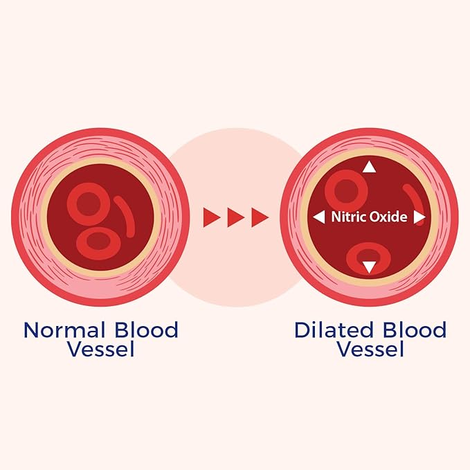 Xtendlife VasQFlow Natural Nitric Oxide Booster Supplement - Circulation & Blood Flow Support with Red Spinach Extract & Aged Garlic - Energy, Heart Health, Muscle Support - 1 Month Supply (90 Count)