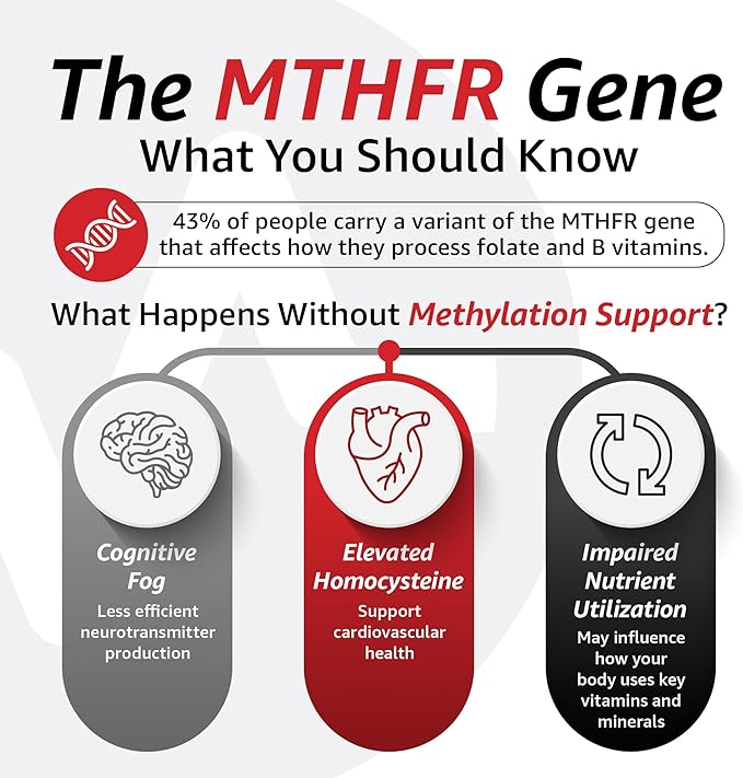 10X Health Optimize Multivitamin for Men - 90 Capsules, Methylated Multivitamin 34 in 1 Formula with 800 mcg of Vitamin B12, 5-MTHF, NAC - Methyl B Complex, MTHFR Supplement