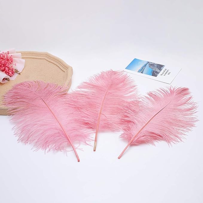 24pcs Natural Lotus Pink Ostrich Feathers 10-12inch (25-30cm) for Wedding Party Centerpieces,Flower Arrangement and Home Decoration.