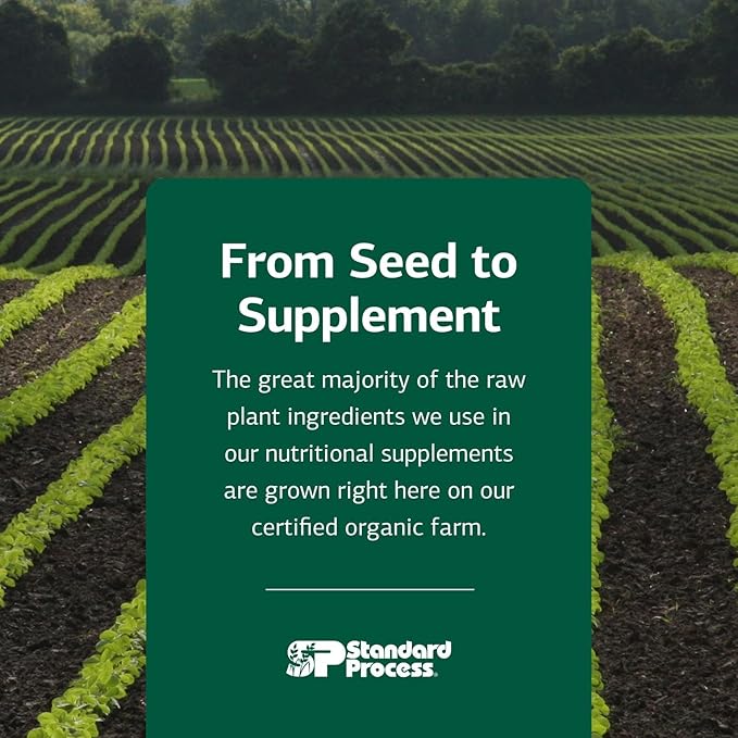 Standard Process Inc. Immuplex - Daily Immune Support Supplement with Folate, Iron, Vitamin C & Vitamin A - Mineral Supplement with Antioxidant Ingredients - 90 Capsules