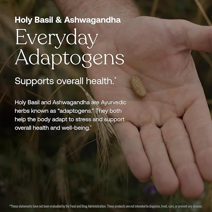 True Grace One Daily Men’s Multivitamin Fermented Minerals, Organic Adaptogens & Mushrooms Whole Body Balance Immune, Endurance, Bone & Heart Support - Non-GMO, Gluten Free - 30 Vegan Tablets