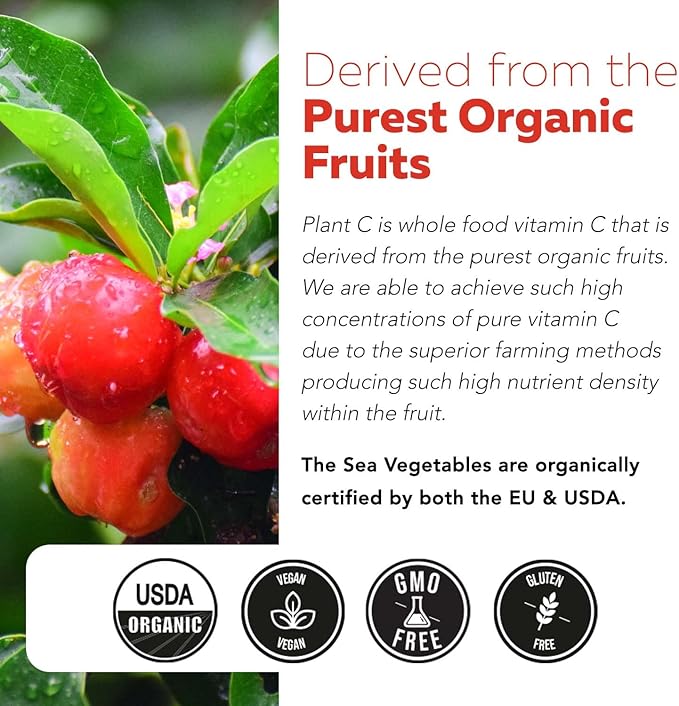 Organic Vitamin C Liquid - 250 mg | Whole Food Vitamin C Supplement from Fruit Plus Absorption Cofactors, Rutin & Citrus Bioflavonoids - Immune & Antioxidant Support, Total Health (96 Servings)