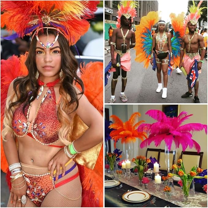 Ballinger Orange Large Ostrich Feathers - 24Pcs 8-10inch Big Feathers for Crafts,Wedding Party Centerpieces and Halloween Home Decor