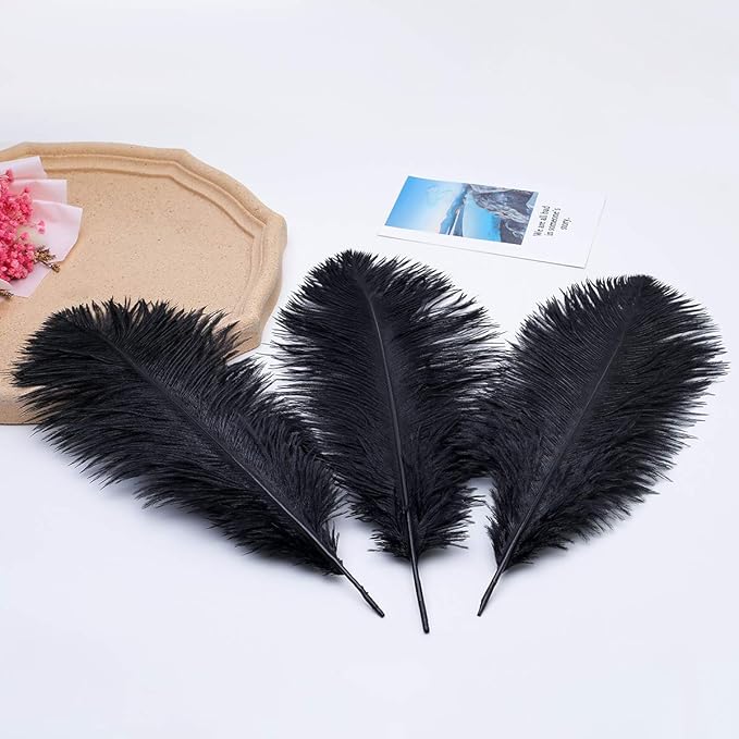 24pcs Natural Black Ostrich Feathers 10-12inch (25-30cm) for Wedding Party Centerpieces,Flower Arrangement and Home Decoration.