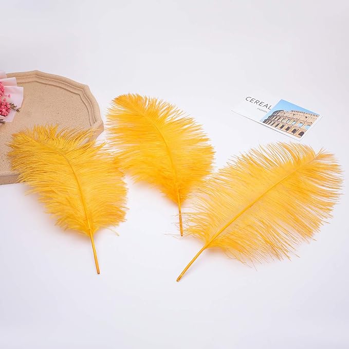 Ballinger Big Gold Ostrich Feathers - 24Pcs 8-10inch Feathers for Crafts,Party Centerpieces Mardi Gras and Home Decor