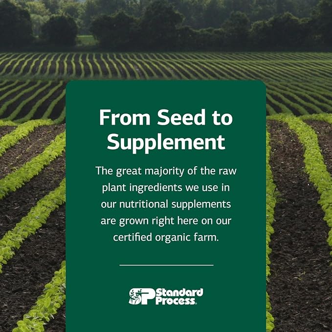 Standard Process Catalyn - Whole-Food Based Foundational Support for General Wellbeing with Vitamins D, C, A & B6, Thiamine, Riboflavin, Magnesium Citrate & More - 90 Tablets