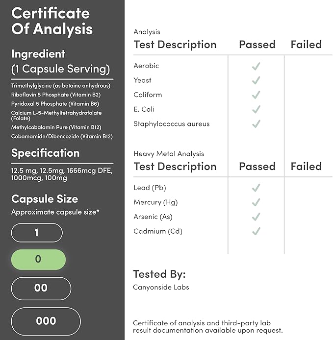 Methylated Multivitamin (Methylated and Activated Vitamins Only - Methylated B Complex with Trimethylglycine (TMG) and Methylfolate)(Non-GMO, Gluten Free MTHFR Supplement) 120 Capsules by Double Wood