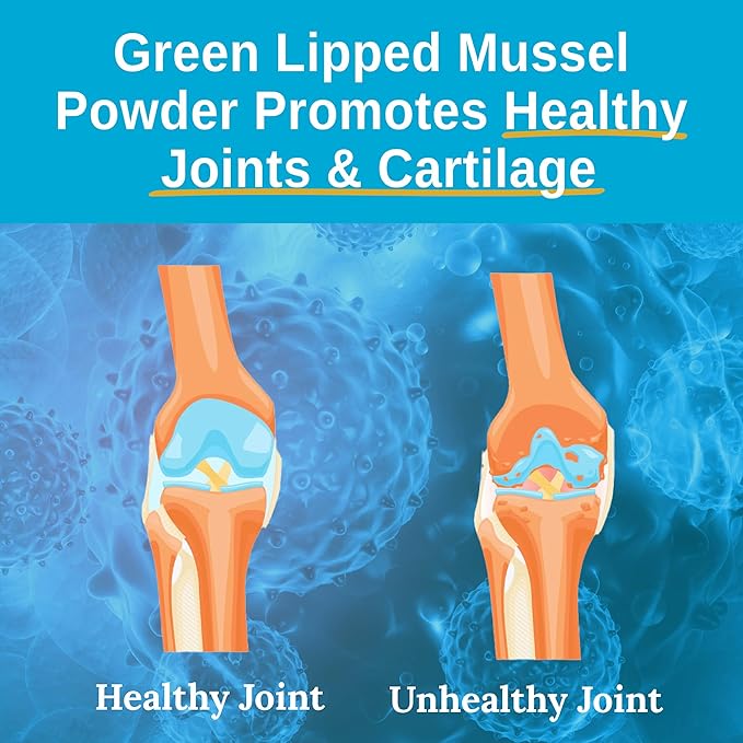 Xtendlife Green Lipped Mussel Powder - 2400mg Extra Strength Joint & Muscle Support Supplement from New Zealand with Omega 3 - 1 Month Supply