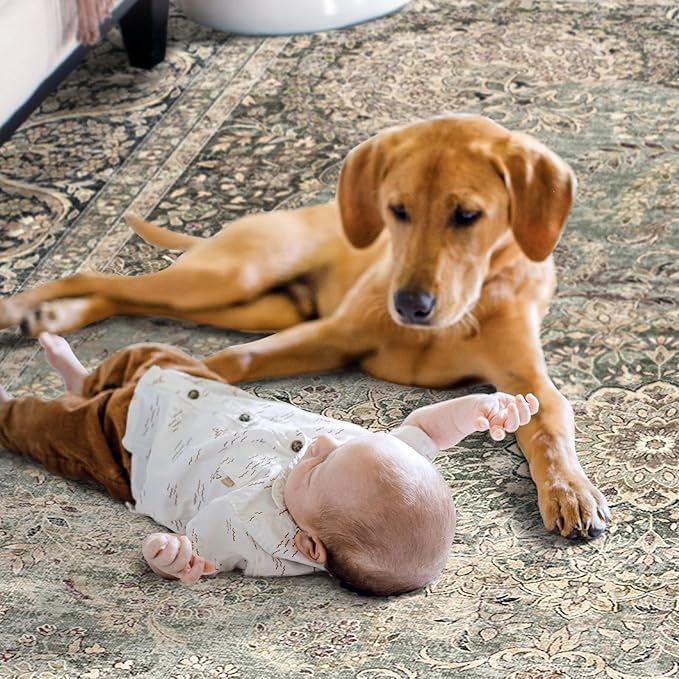 5X7 Area Rugs for Living Room - Large Washable Rugs 5x7 Vintage Rug Throw Low Pile Rug Non-Slip Distressed Carpet for Bedroom, Office, Kitchen,Entryway, Dining Room, Olive Charcoal