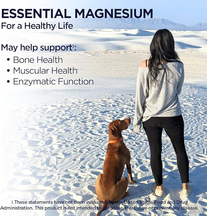 KAL Magnesium Glycinate Tablets, Fully Chelated, High Absorption Formula with Magnesium Bisglycinate Chelate for Nerve, Muscle & Bone Health Support, Vegan, Gluten Free, Value Size, 240 Tablets