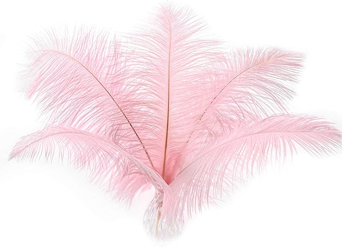 24pcs Natural Light Pink Ostrich Feathers 10-12inch (25-30cm) for Wedding Party Centerpieces,Flower Arrangement and Home Decoration.