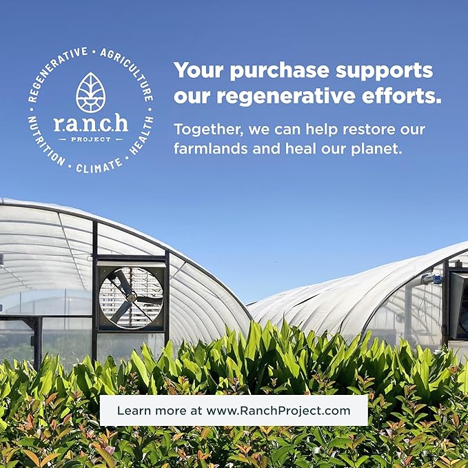 Ancient Nutrition Collagen Powder Protein, Multi Collagen Protein Beauty + Sleep with Vitamin C, Vanilla Chai, Hydrolyzed Collagen Peptides Supports Skin and Nails, Sleep, 16.1oz