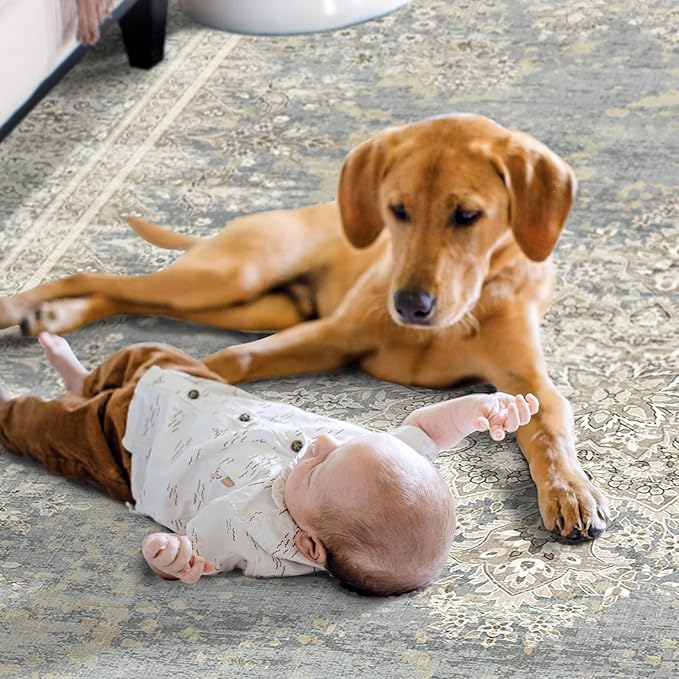 5x7 Area Rugs for Living Room,Non Slip Indoor Boho Area Rug Carpet Home Décor for Entryway, Bedroom, Dining Room, Beige Grey