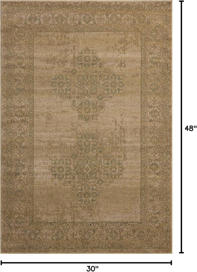 Loloi Magnolia Home by Joanna Gaines Mona Collection MOA-05 Antique/SPA 2'-6" x 4'-0" Accent Rug