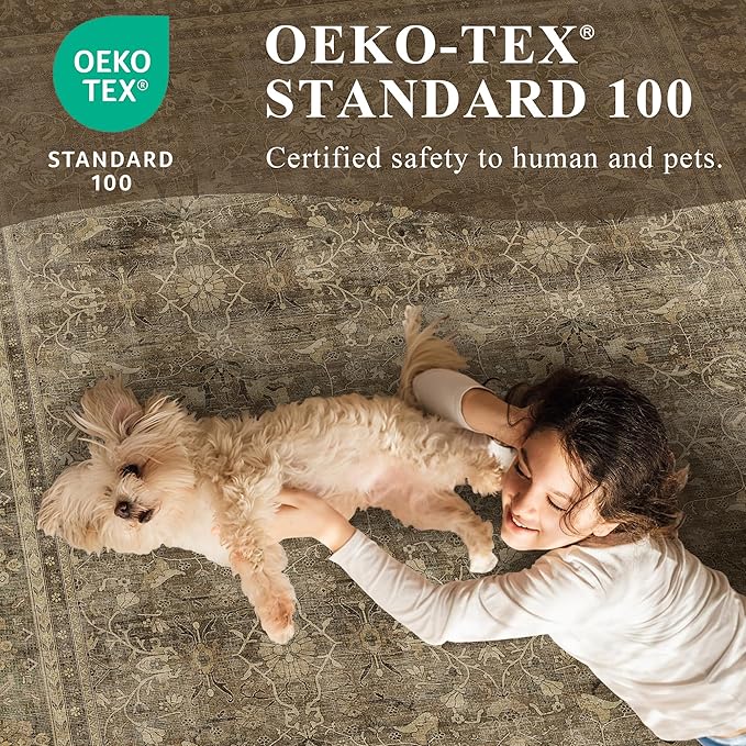 HelloTree Washable Rugs 8x10 Area Rug for Living Room, Vintage Boho Brown Rug Non Slip Carpet Retro Accent Indoor Mat Print Distressed Low Pile Throw Large Rug for Office Dining Room Bedside-Brown