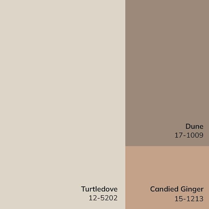 Livabliss x Galey Alix Maria Elena V Vintage Medallion Area Rug, 5'3" x 7' (5' x 7'), Tan