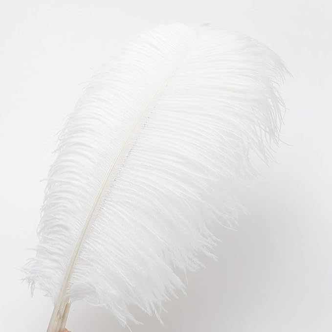 24pcs Natural White Ostrich Feathers 10-12inch (25-30cm) for Wedding Party Centerpieces，Flower Arrangement and Home Decoration.