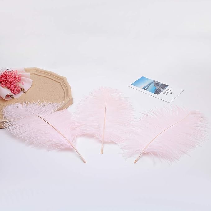 Ballinger Light Pink Ostrich Feathers - 24Pcs 8-10inch Feathers for Crafts,Party Centerpieces,Wedding and Home Decor