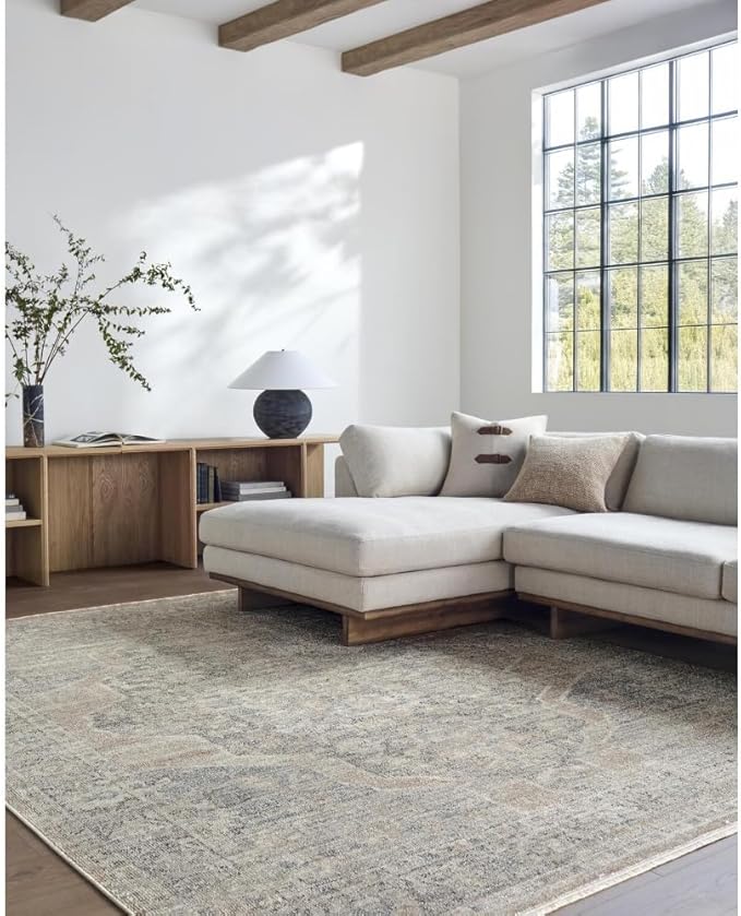 Livabliss x Galey Alix Maria Elena IV Vintage Medallion Area Rug, 5'3" x 7' (5' x 7'), Dark Brown