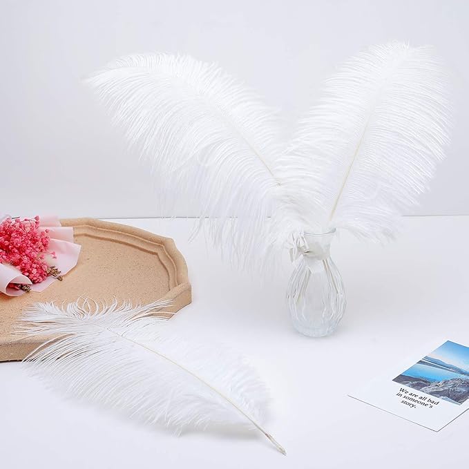 Ballinger Large White Ostrich Feathers - 24Pcs 8-10inch Feathers for Crafts,Party Centerpieces,Wedding and Home Decor