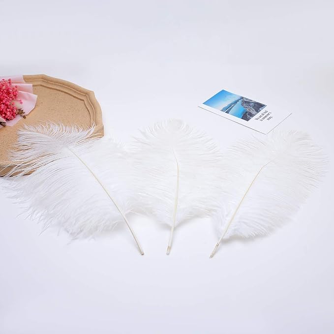 24pcs Natural White Ostrich Feathers 10-12inch (25-30cm) for Wedding Party Centerpieces，Flower Arrangement and Home Decoration.