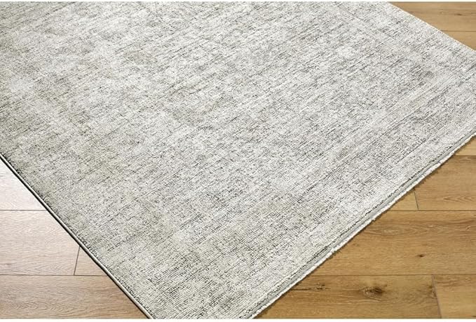 Livabliss x Galey Alix Maria Elena V Vintage Medallion Area Rug, 2'7" x 7'3" (3' x 8'), Tan