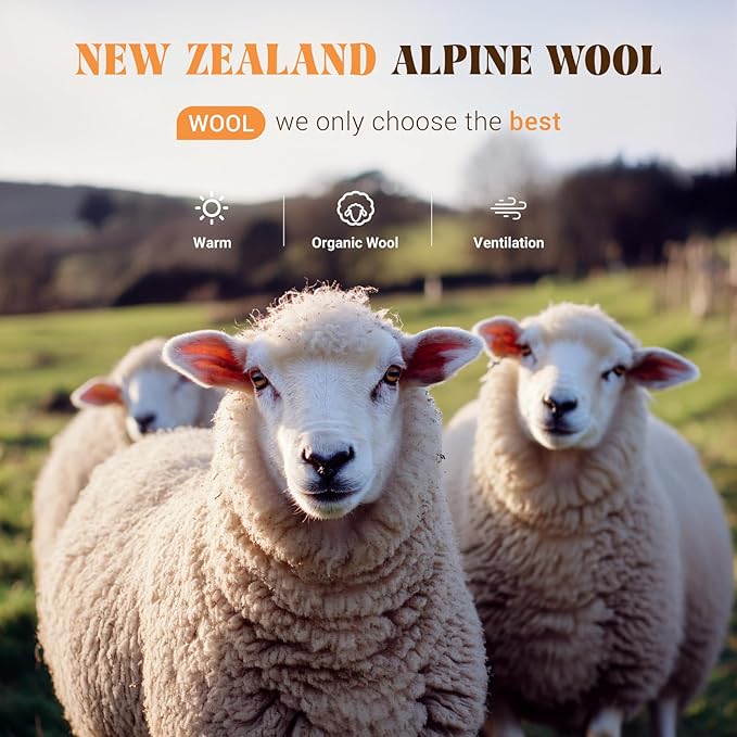 Shilucheng Wool Rug 9x12 Non-Slip, Blend 80% Wool and 20% Cotton Rugs for Living Room, Bedroom, Dinning Room, Soft Durable Cotton Backing Modern Area Rug (Gray/White)