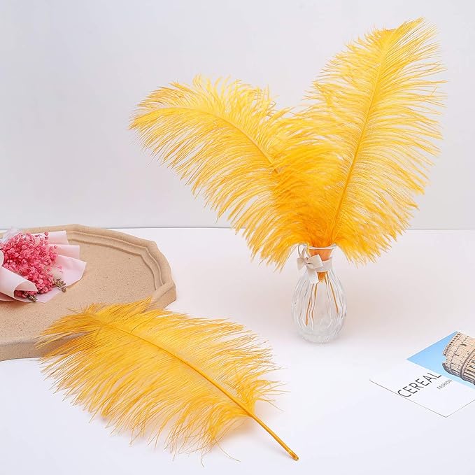 Ballinger Big Gold Ostrich Feathers - 24Pcs 8-10inch Feathers for Crafts,Party Centerpieces Mardi Gras and Home Decor
