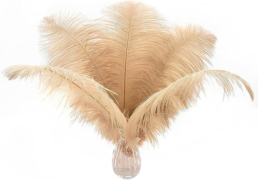 Ballinger Champagne Ostrich Feathers Bulk - 24pcs 10-12inch Boho Feathers for vase and Home Decor Wedding Party Centerpieces