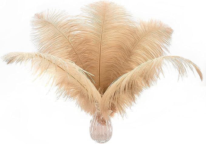 Ballinger Large Champagne Ostrich Feathers - 24pcs 12-14inch Boho Feathers for Vase and Home Decor Wedding Party Centerpieces