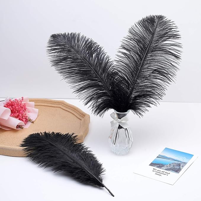 Ballinger Black Ostrich Feathers Bulk - 24Pcs 8-10inch Feathers for Crafts,Gatsby and Halloween Party Centerpieces
