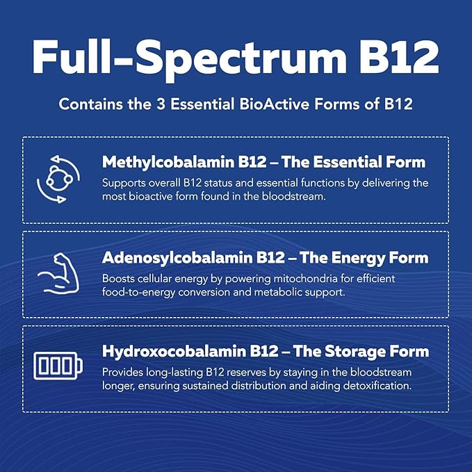 BioActive Vitamin B Complex Blood Stream Ready, Methylated B Complex Featuring Methylfolate 3 BioActive Forms of B12, BenfoPure® B1 & Pantesin® B5 12 B Vitamins in Clinical Doses(120 Servings - 2Pack)