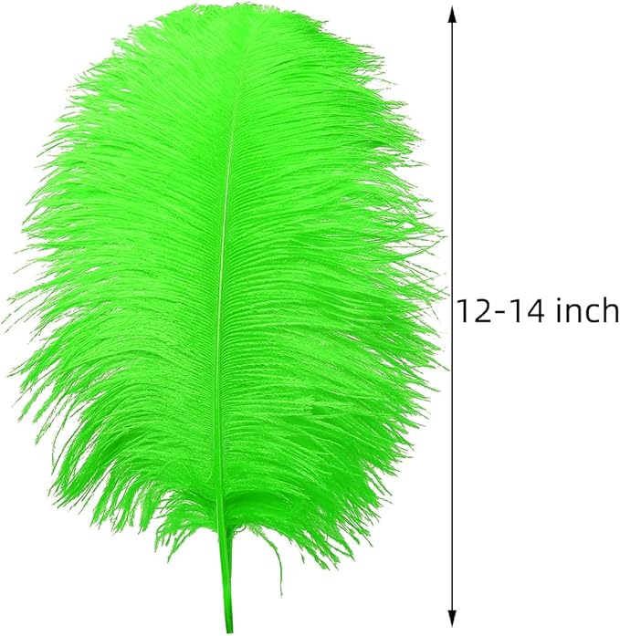 Ballinger Lime Green Ostrich Feathers - 24Pcs 12-14inch Large Green Feathers for Vase,Wedding Party Centerpieces and Holiday Home Decor