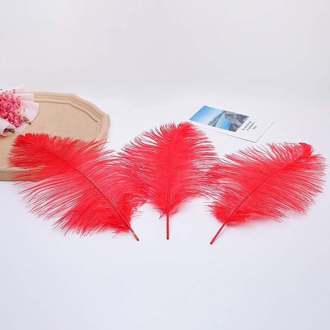 24pcs Natural Bright Red Ostrich Feathers 10-12inch (25-30cm) for Wedding Party Centerpieces，Flower Arrangement and Home Decoration.