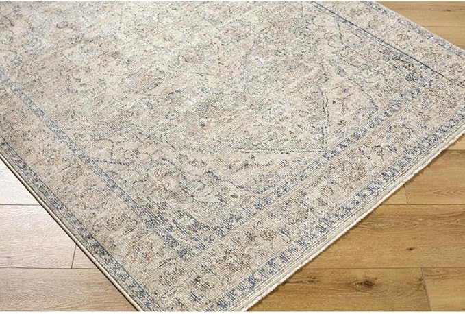 Livabliss x Galey Alix Maria Elena I Vintage Medallion Area Rug, 9'2" x 12' (9' x 12'), Taupe