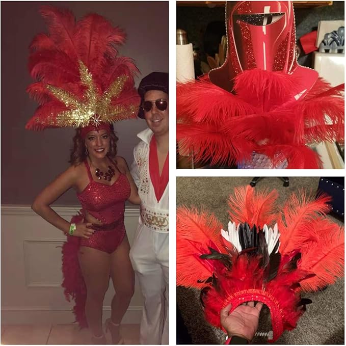 Ballinger Red Ostrich Feathers Bulk - 24Pcs 12-14inch Large Ostrich Feathers for Vase,Party Centerpieces,Wedding and Home Decor