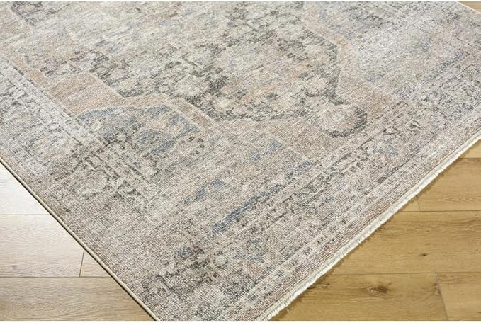 Livabliss x Galey Alix Maria Elena IV Vintage Medallion Area Rug, 9'2" x 12' (9' x 12'), Dark Brown