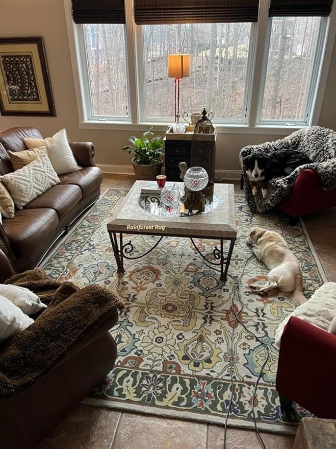 Handmade Traditional Oriental Premium 100% Wool Area Rugs & Carpet Bedroom Living Room Dining Room Luxury Home (6x9 Feet)