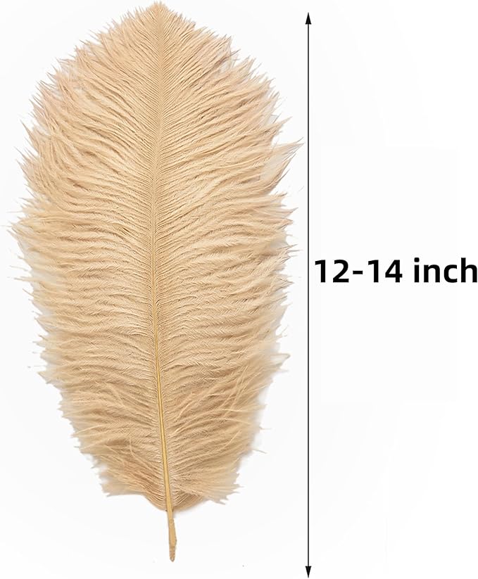 Ballinger Large Champagne Ostrich Feathers - 24pcs 12-14inch Boho Feathers for Vase and Home Decor Wedding Party Centerpieces