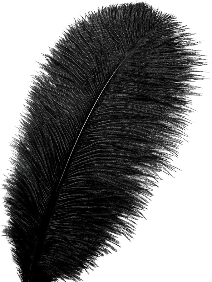 24pcs Natural Black Ostrich Feathers 10-12inch (25-30cm) for Wedding Party Centerpieces，Flower Arrangement and Home Decoration.
