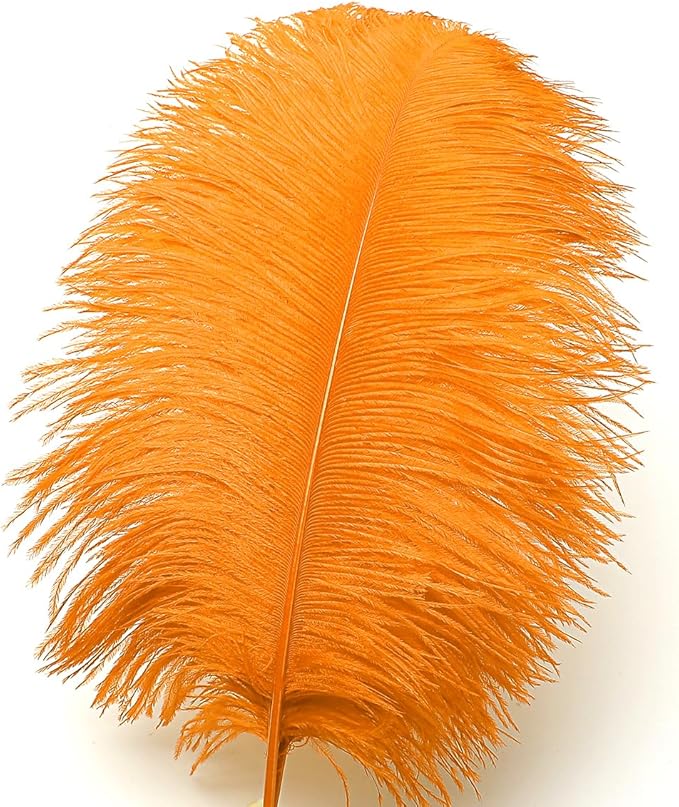 Ballinger Orange Large Ostrich Feathers - 24Pcs 10-12inch Large Orange Feathers for Vase,Wedding Party Centerpieces and Halloween Home Decor