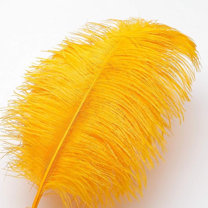Ballinger Big Gold Ostrich Feathers - 24Pcs 8-10inch Feathers for Crafts,Party Centerpieces Mardi Gras and Home Decor