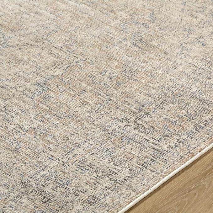 Livabliss x Galey Alix Maria Elena III Vintage Medallion Area Rug, 7'10" x 10' (8' x 10'), Brown