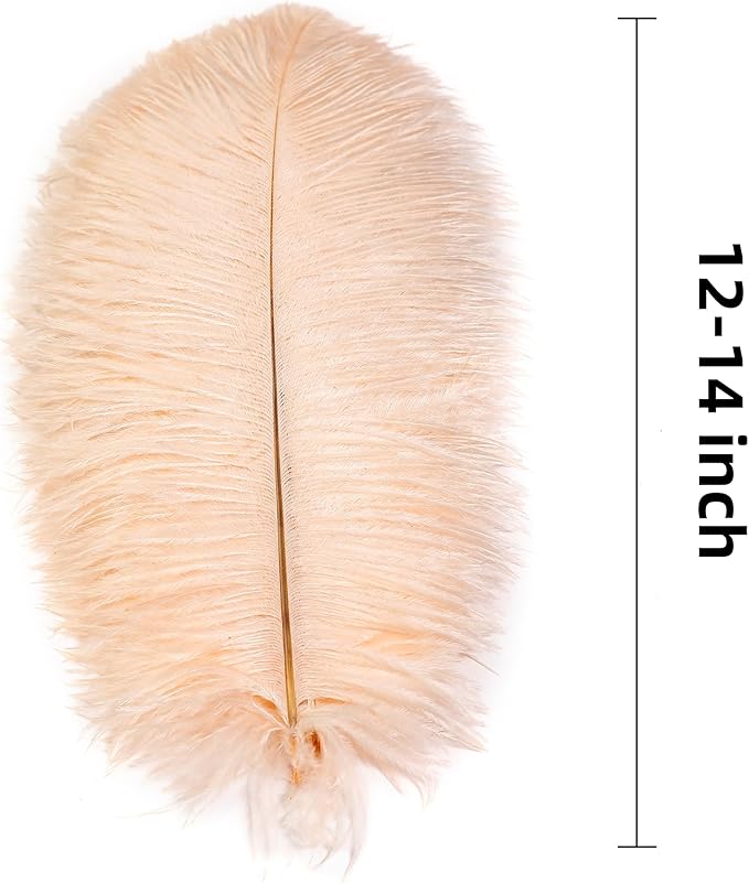 Ballinger Light Salmon Ostrich Feathers - 24pcs 12-14inch Big Feathers for Crafts，Wedding Party Centerpieces and Home Decor