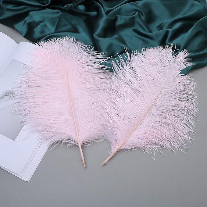 24pcs Natural Light Pink Ostrich Feathers 10-12inch (25-30cm) for Wedding Party Centerpieces，Flower Arrangement and Home Decoration.