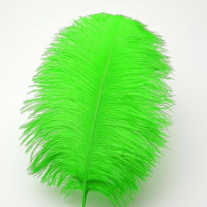 Ballinger Lime Green Ostrich Feathers - 24Pcs 12-14inch Large Green Feathers for Vase,Wedding Party Centerpieces and Holiday Home Decor