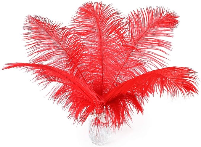 Ballinger Red Ostrich Feathers Bulk - 24Pcs 12-14inch Large Ostrich Feathers for Vase,Party Centerpieces,Wedding and Home Decor