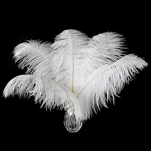 Ballinger Large White Ostrich Feathers - 24Pcs 8-10inch Feathers for Crafts,Party Centerpieces,Wedding and Home Decor